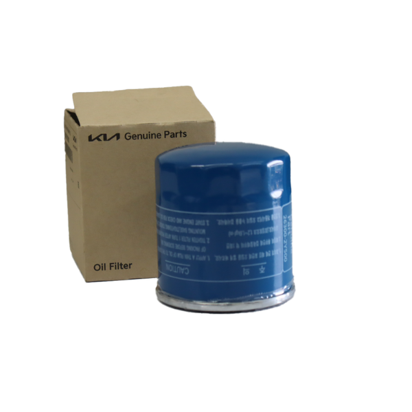 FILTRO DE ACEITE MOTOR